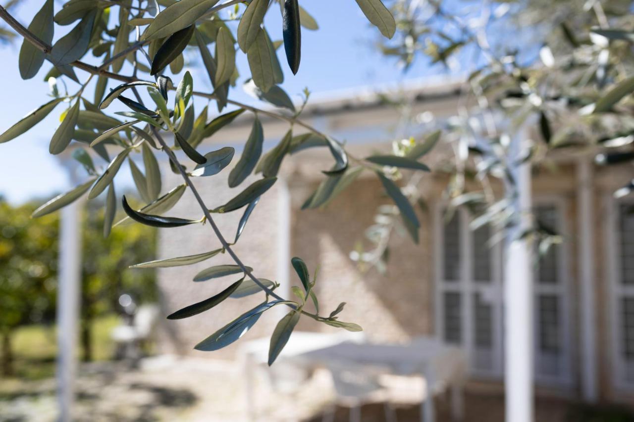 B&B Samarelle - Exclusive Villa With Garden And Panoramic Terrace - Molfetta Exterior foto